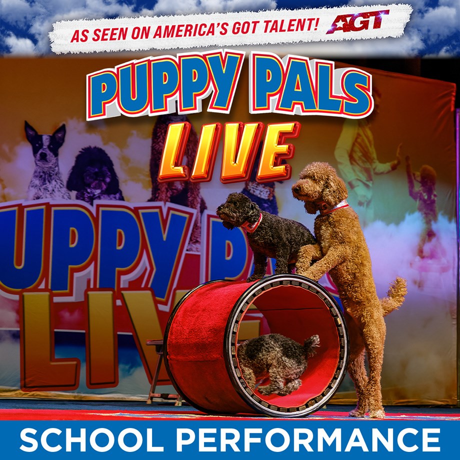 Puppy Pals, April 1