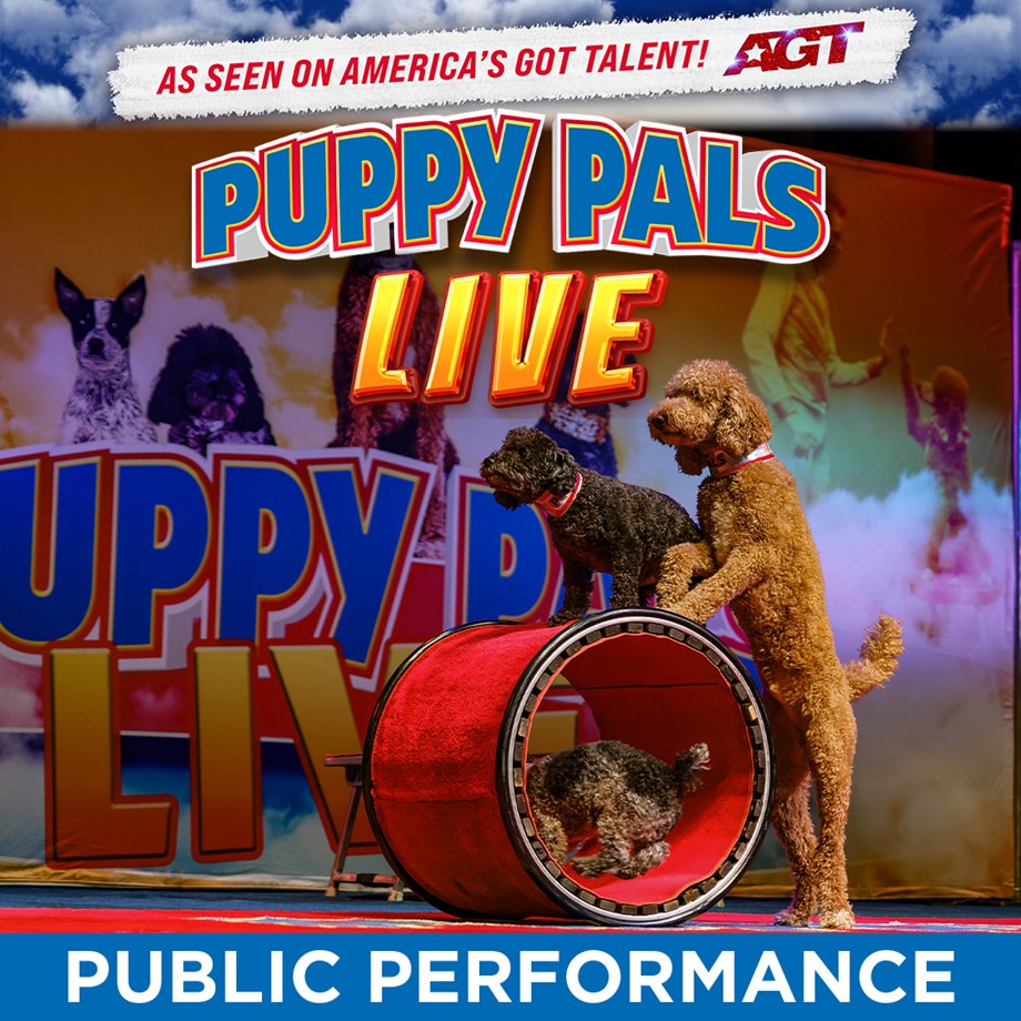 Puppy Pals LIVE - April 1, 2026 @ 6:30 p.m.